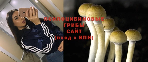 молекула духа Верея