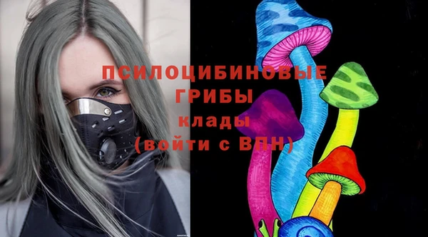 хмурый Верхний Тагил