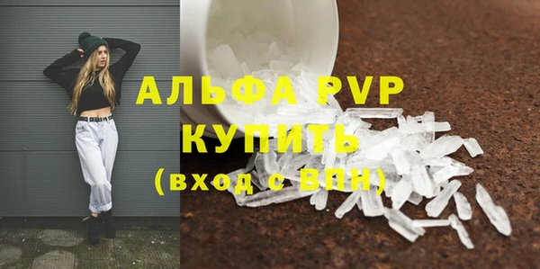 ПСИЛОЦИБИНОВЫЕ ГРИБЫ Волосово