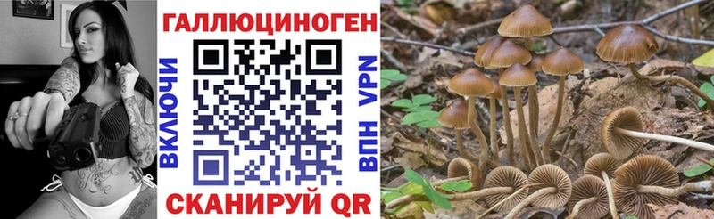 закладка  Ворсма  Псилоцибиновые грибы MAGIC MUSHROOMS 