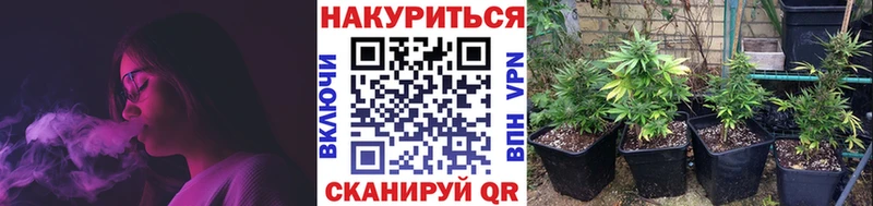 Шишки марихуана марихуана  купить закладку  Ворсма 